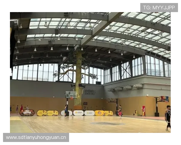 吴江阳光体育联赛篮球馆（吴江shc篮球馆）sports