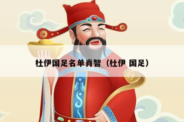 杜伊国足名单肖智（杜伊 国足）