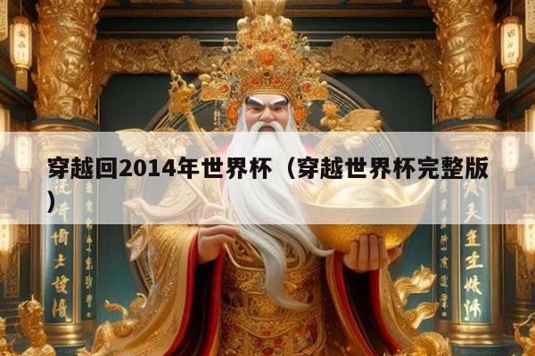 穿越回2014年世界杯（穿越世界杯完整版）