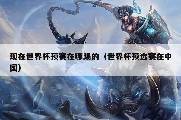 现在世界杯预赛在哪踢的（世界杯预选赛在中国）