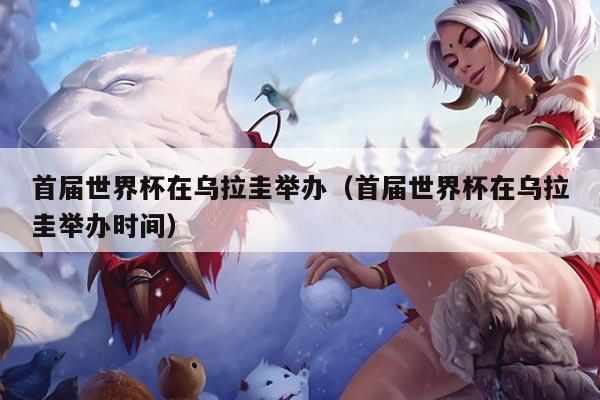 首届世界杯在乌拉圭举办（首届世界杯在乌拉圭举办时间）