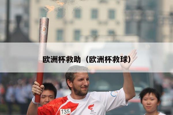 欧洲杯救助（欧洲杯救球）